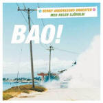 Benny Anderssons Orkester - BAO CD
